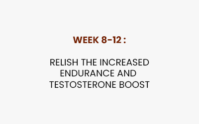 400 by 200 week 8-12