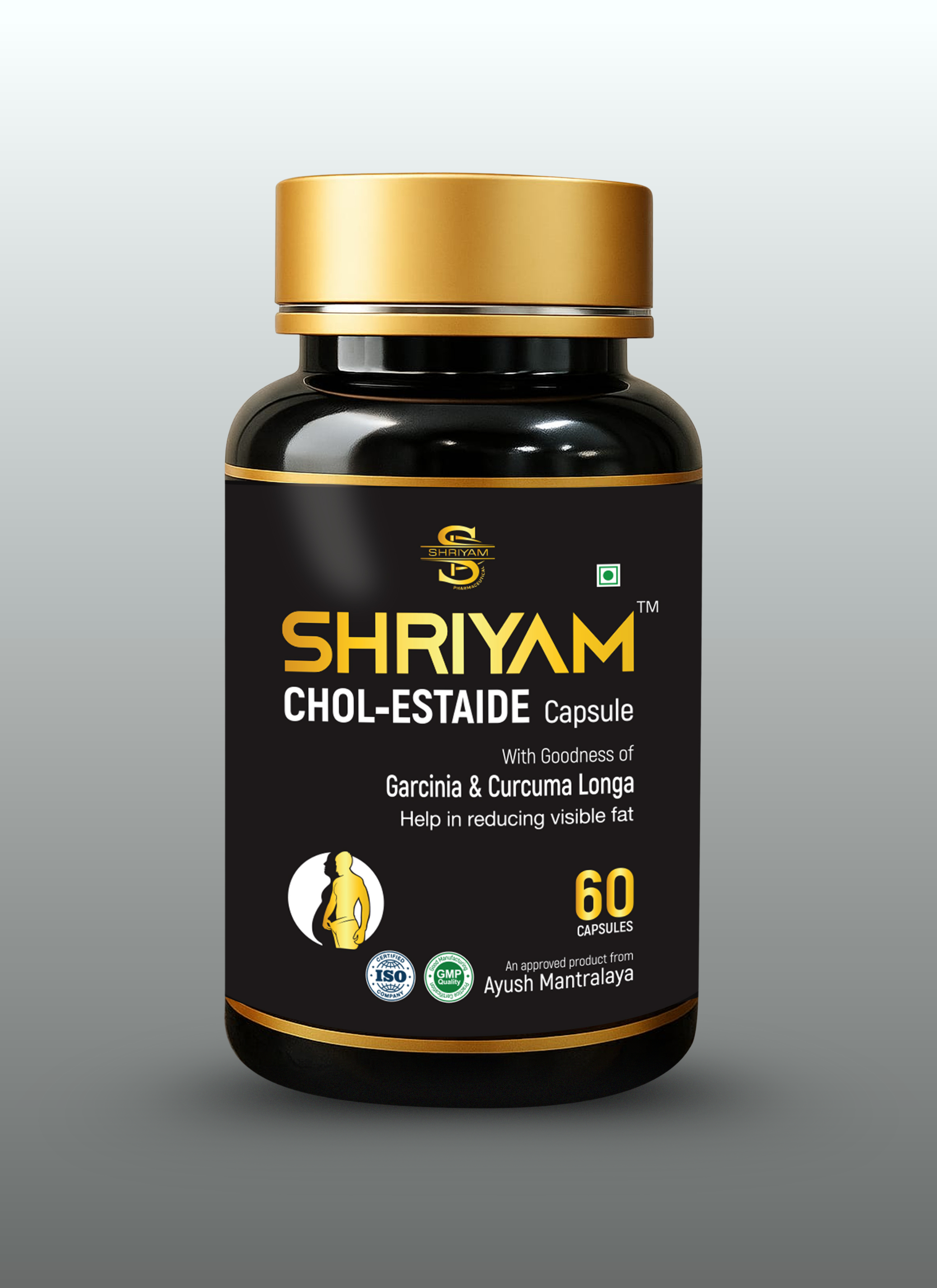 Shriyam Chol-estaide Capsule 500mg (60 Caps)